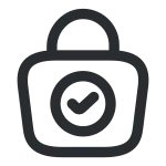 Bag Tick 2 SVG Icon